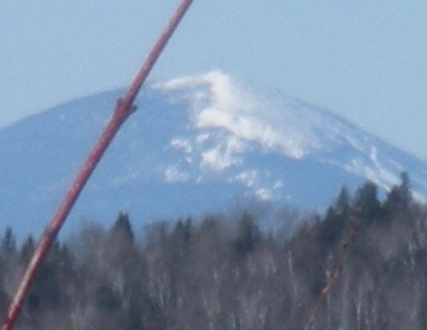 Maine College Circle